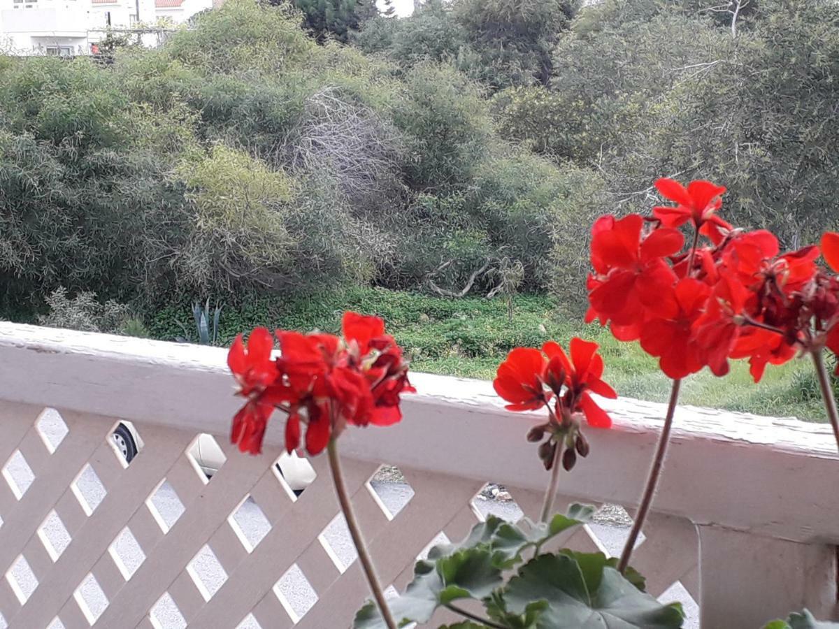 Protaras Happy Sunny Holidays Παραλίμνι Εξωτερικό φωτογραφία